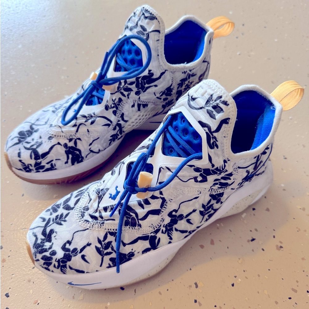 Nike Lebron James Soldier 14 Sisterwood